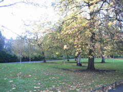 manchester 293