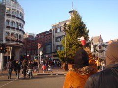 DSC01750