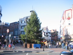 manchester 295