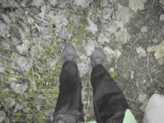 IMG_7427.JPG