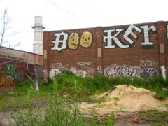 IMG_9858.JPG