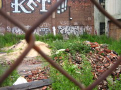 IMG_9859.JPG