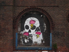 IMG_9869.JPG